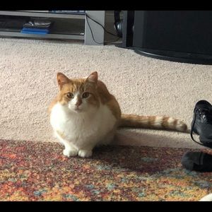 Meet your Posher, Kelley